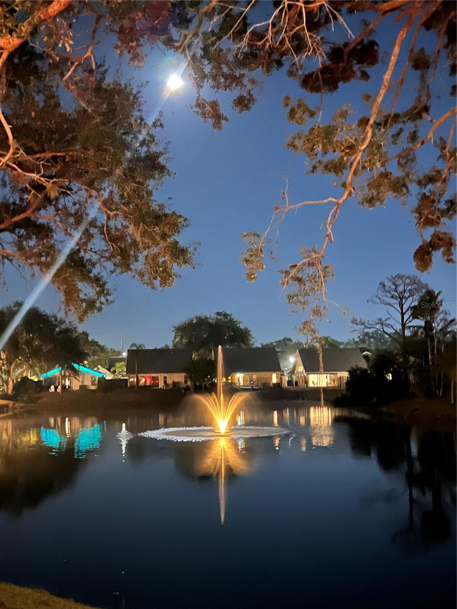 Image 55 of 62 For 7801 Ontario Street Circle