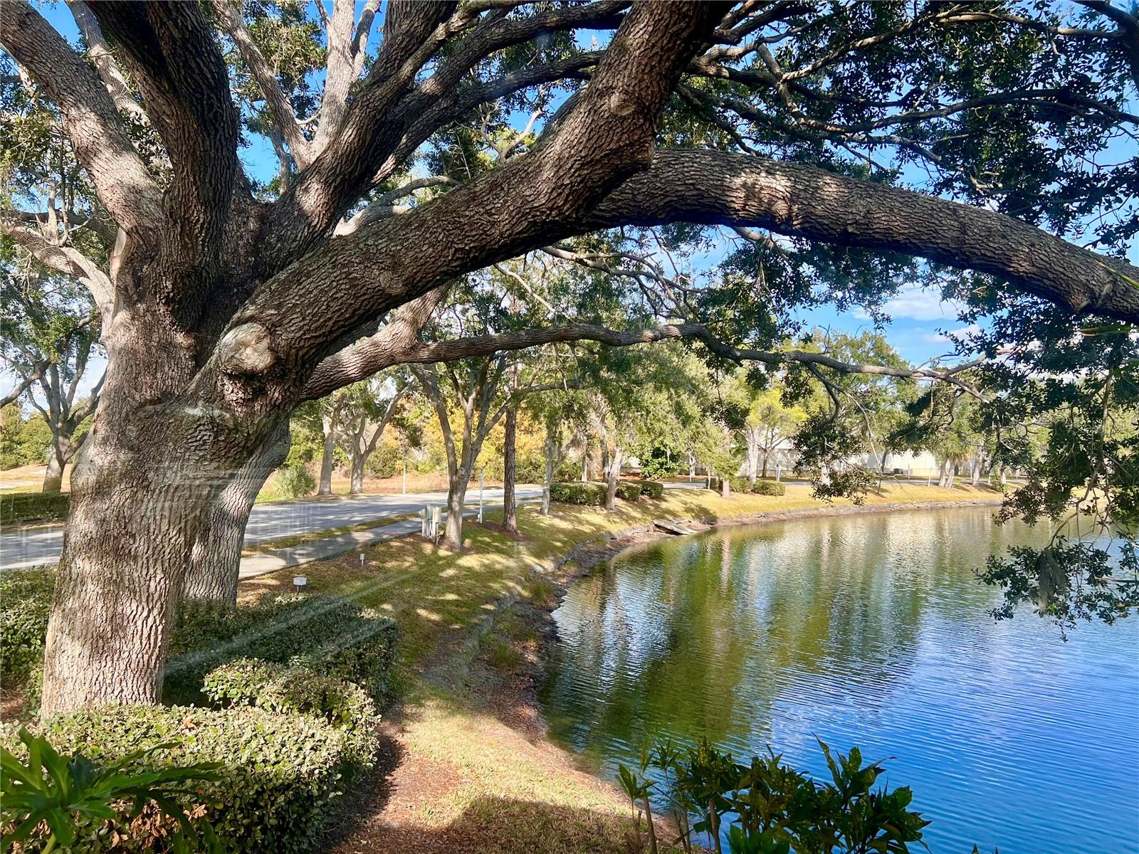 Image 8 of 62 For 7801 Ontario Street Circle