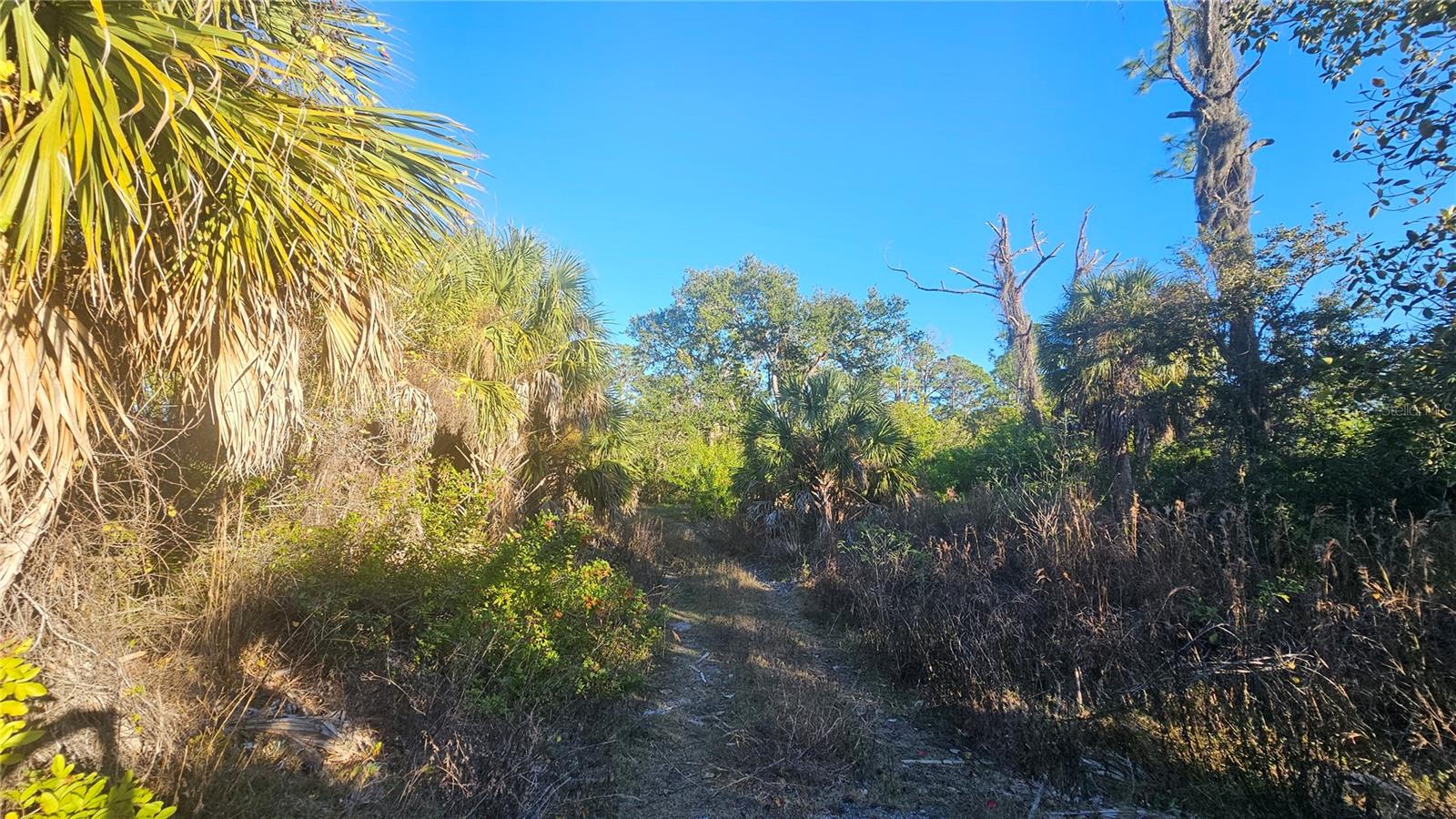 Image 14 of 14 For 1253 Casper Street