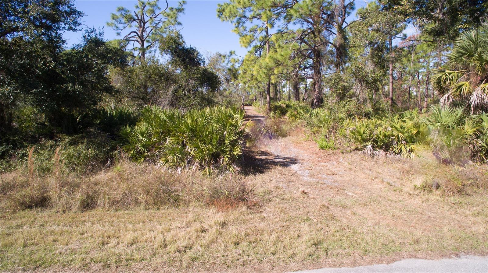 Image 9 of 14 For 1253 Casper Street