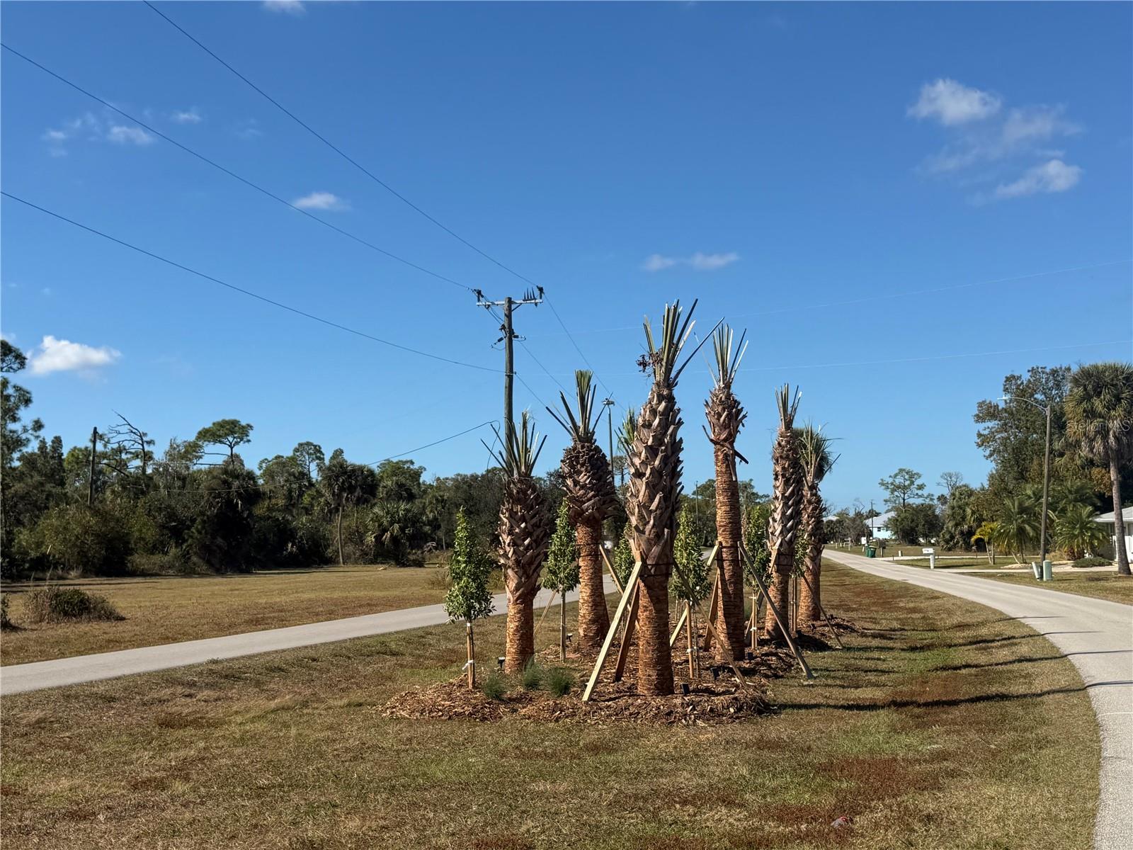 Image 12 of 14 For 24501 Yacht Club Boulevard