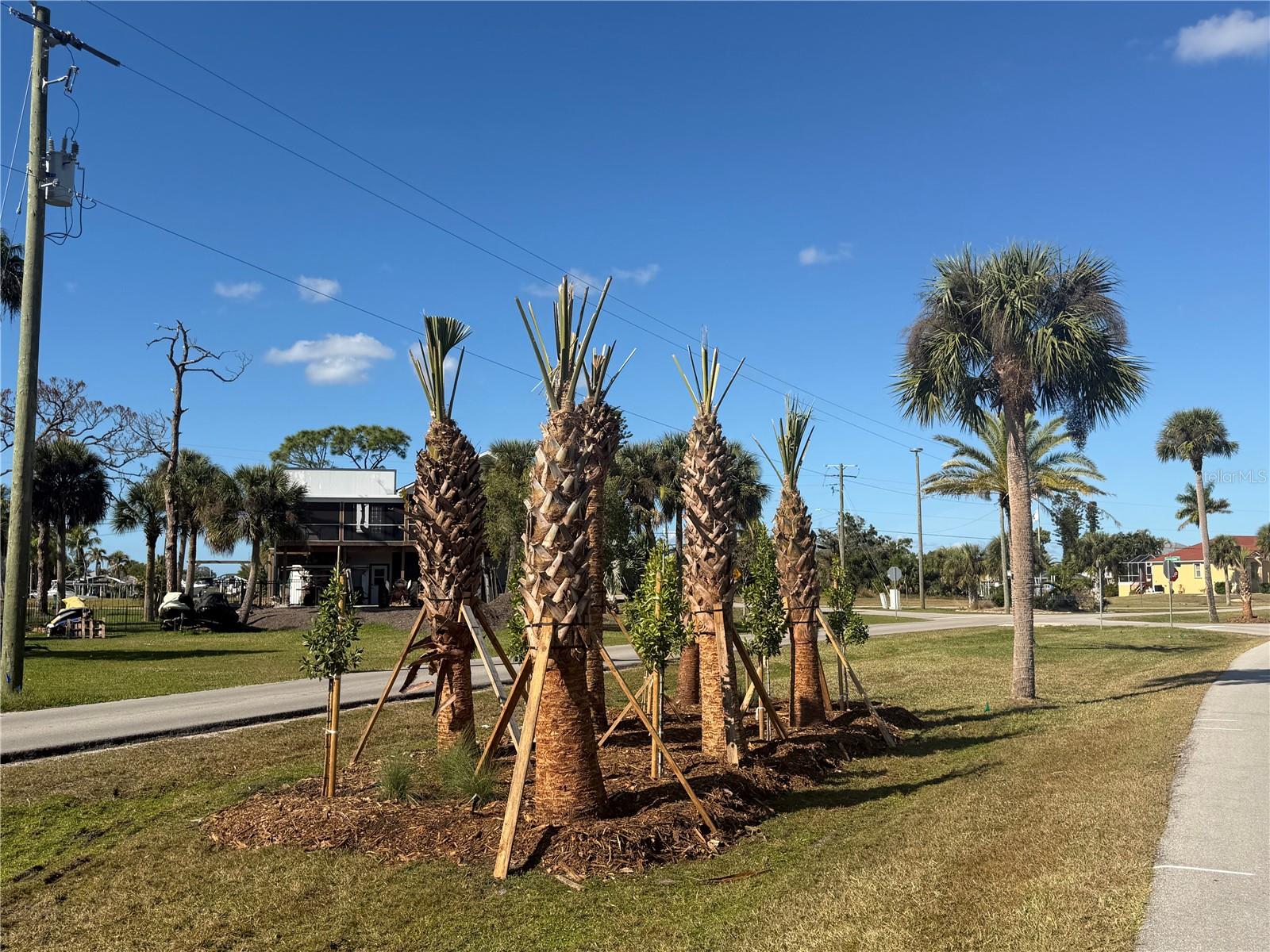 Image 13 of 14 For 24501 Yacht Club Boulevard