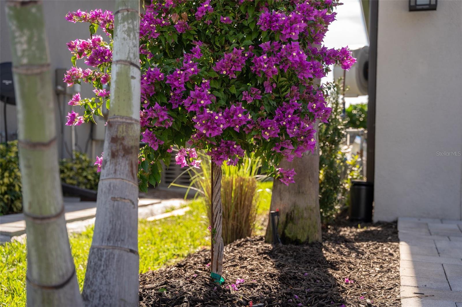 Image 10 of 99 For 16106 Culpepper Drive