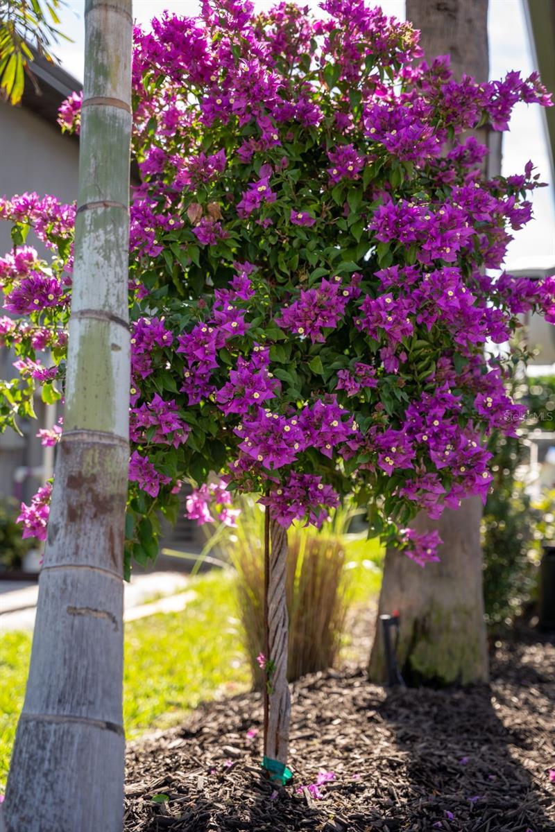 Image 11 of 99 For 16106 Culpepper Drive