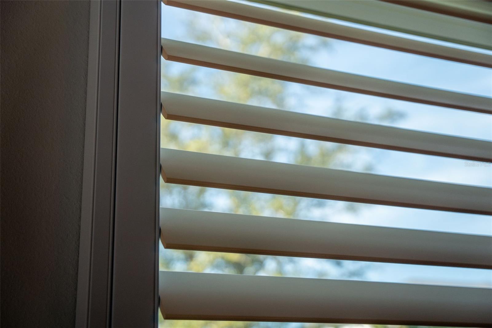 Image 41 of 99 For 16106 Culpepper Drive