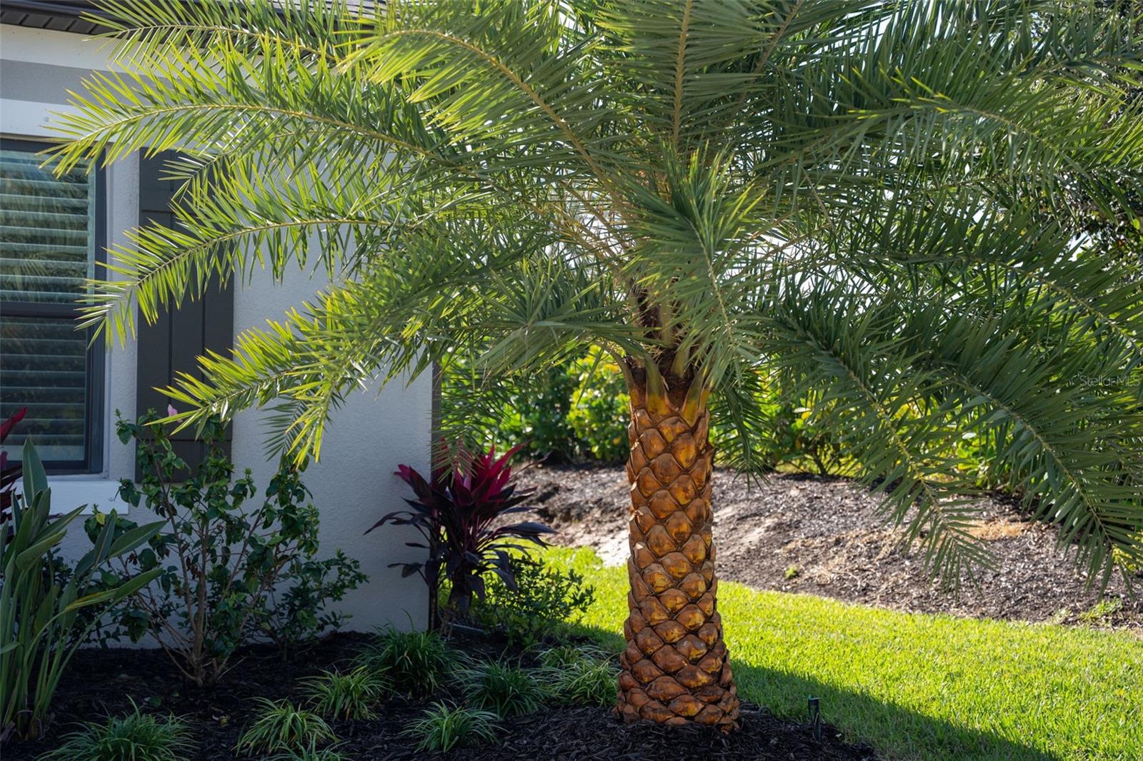 Image 7 of 99 For 16106 Culpepper Drive