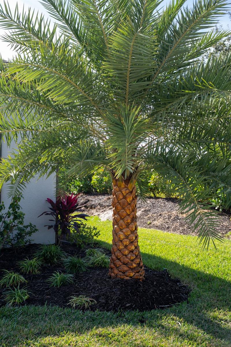 Image 8 of 99 For 16106 Culpepper Drive