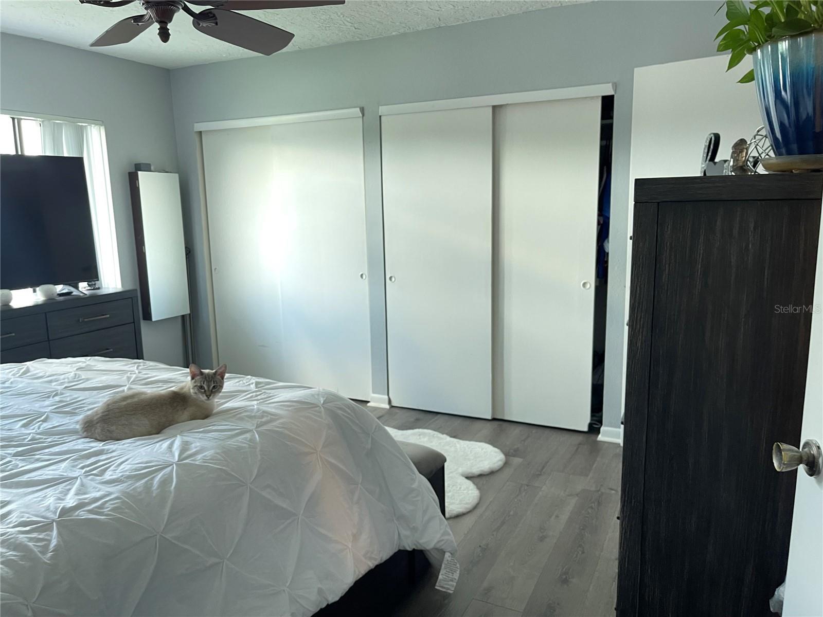 Image 19 of 20 For 8800 Bardmoor Boulevard 23