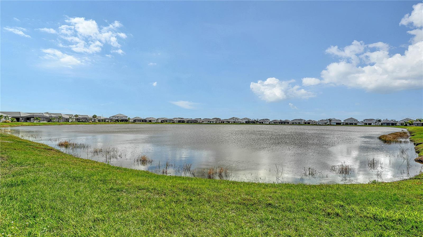 Image 38 of 75 For 17543 Savory Mist Circle