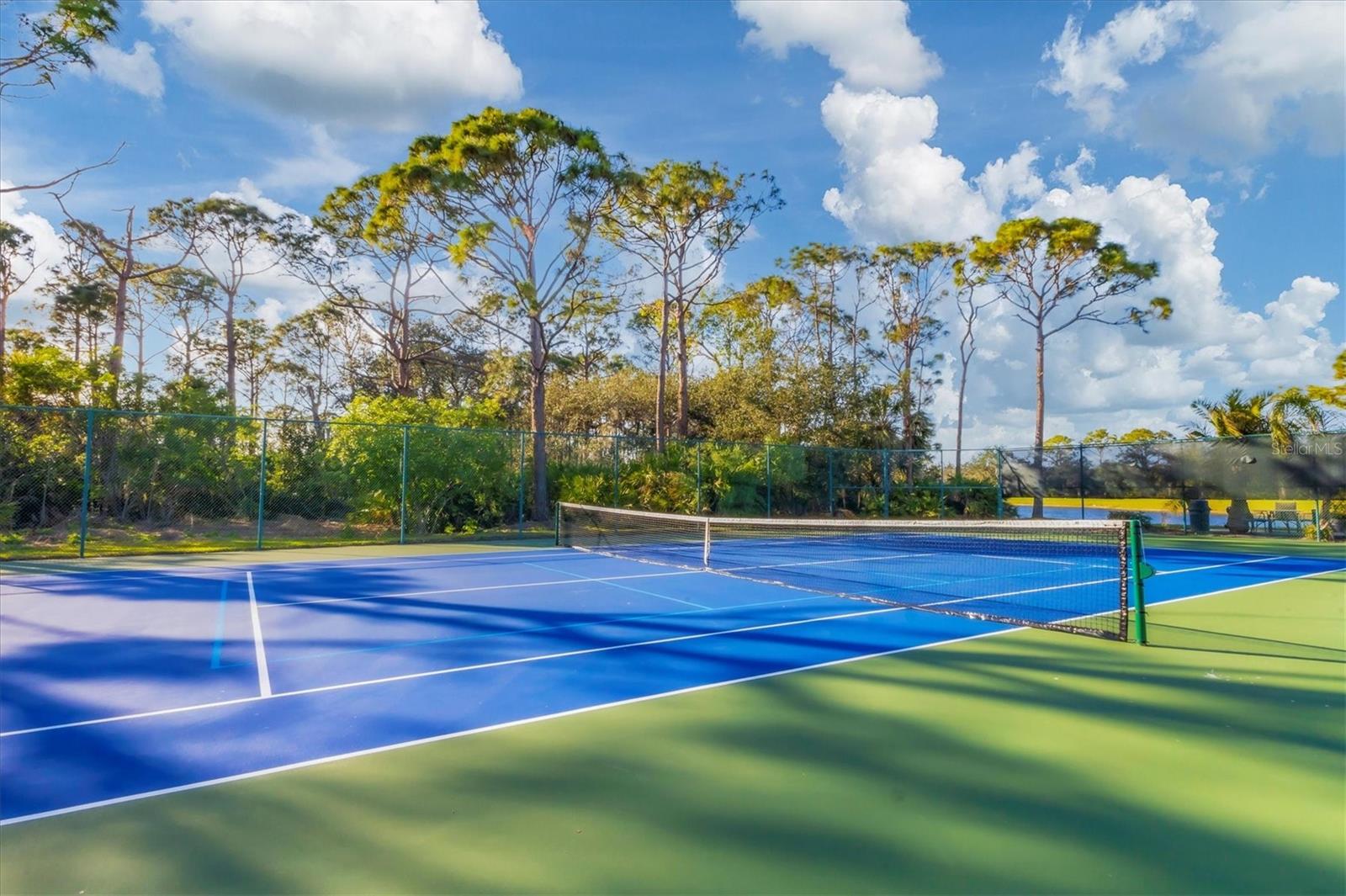 Image 43 of 78 For 8735 Olde Hickory Avenue 8303