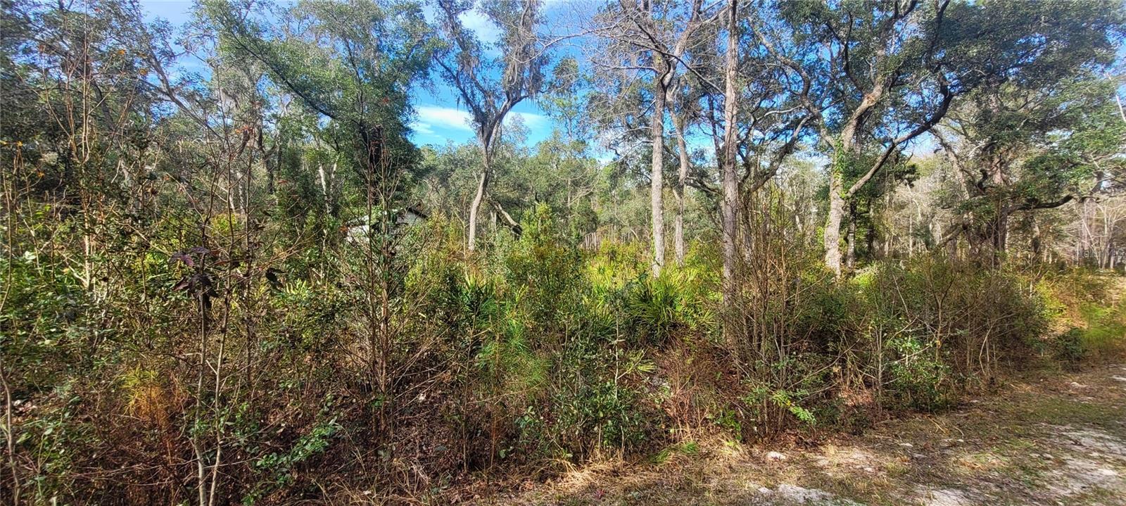 Image 5 of 6 For 68th Terrace