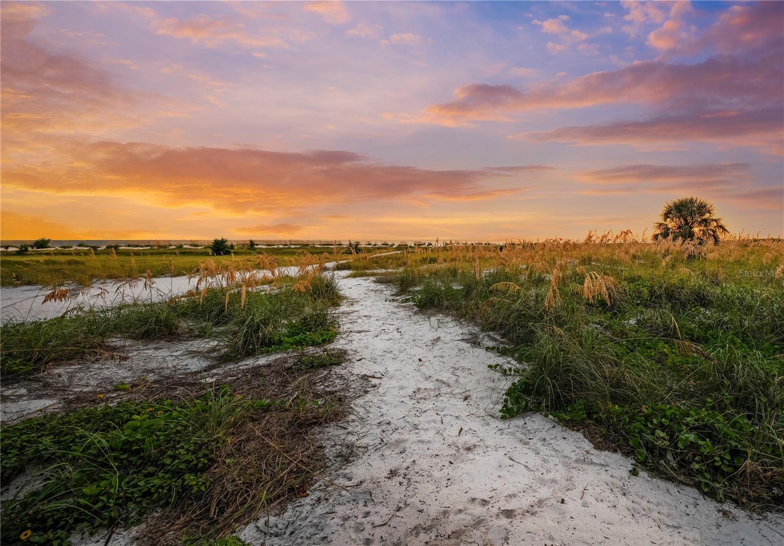 Image 11 of 97 For 801 Shore Drive