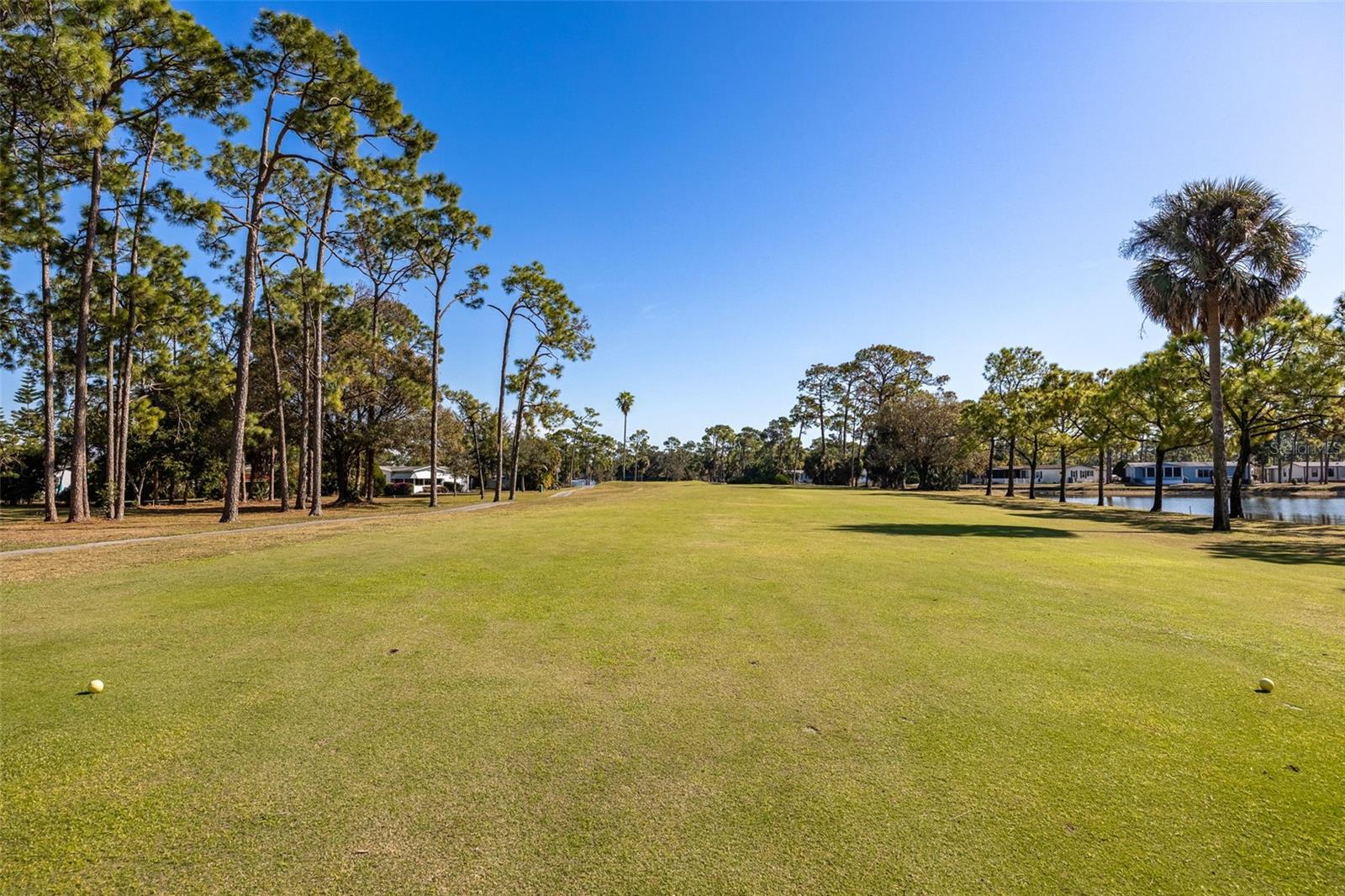 Image 43 of 77 For 19675 Eagle Trace Court