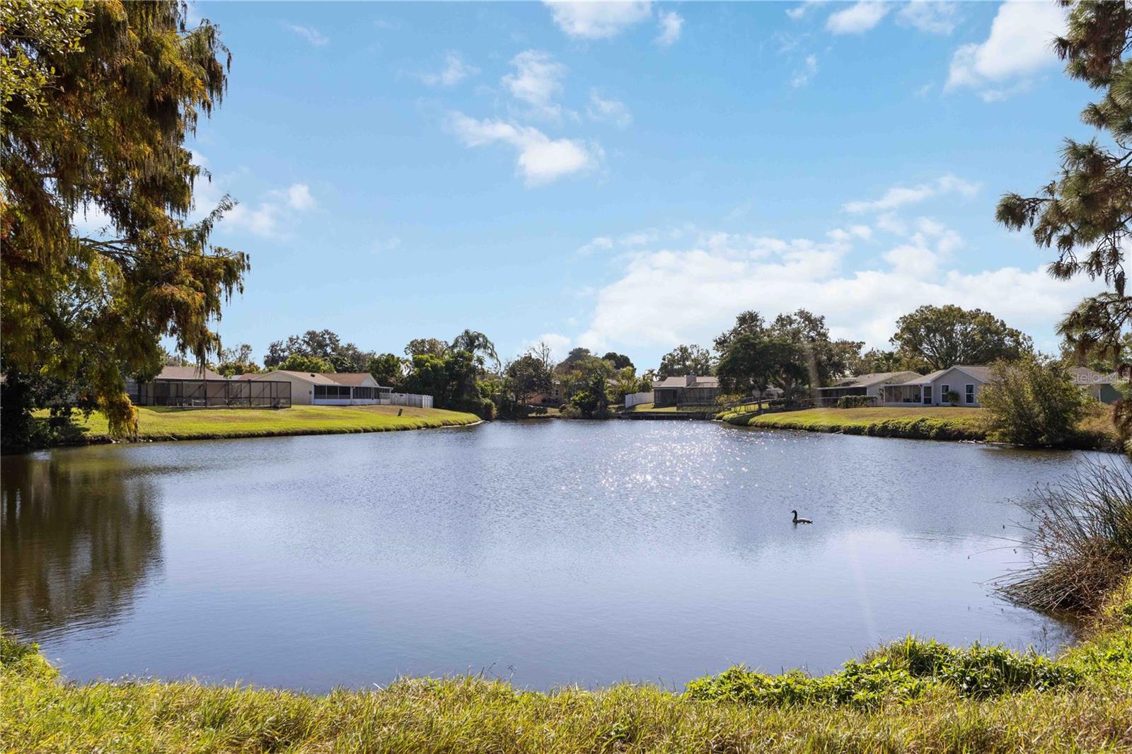 Image 2 of 57 For 3501 67th Street W