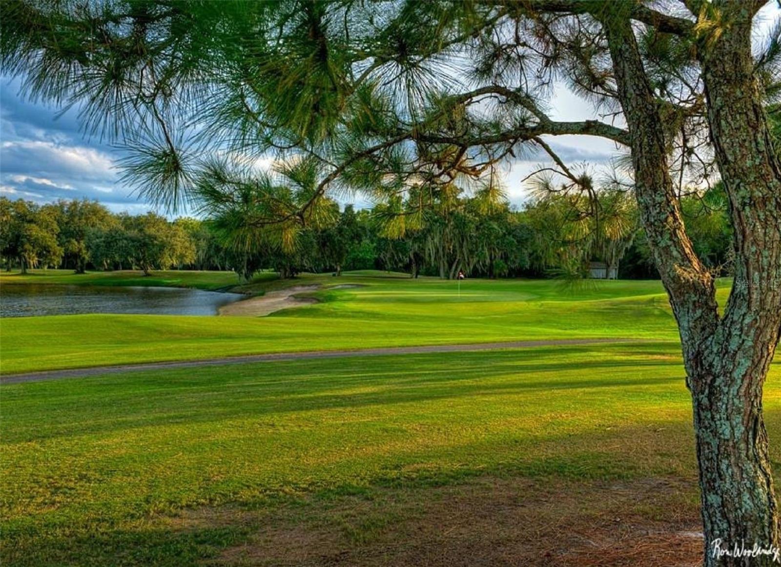 Image 54 of 61 For 2962 Wilderness Boulevard E