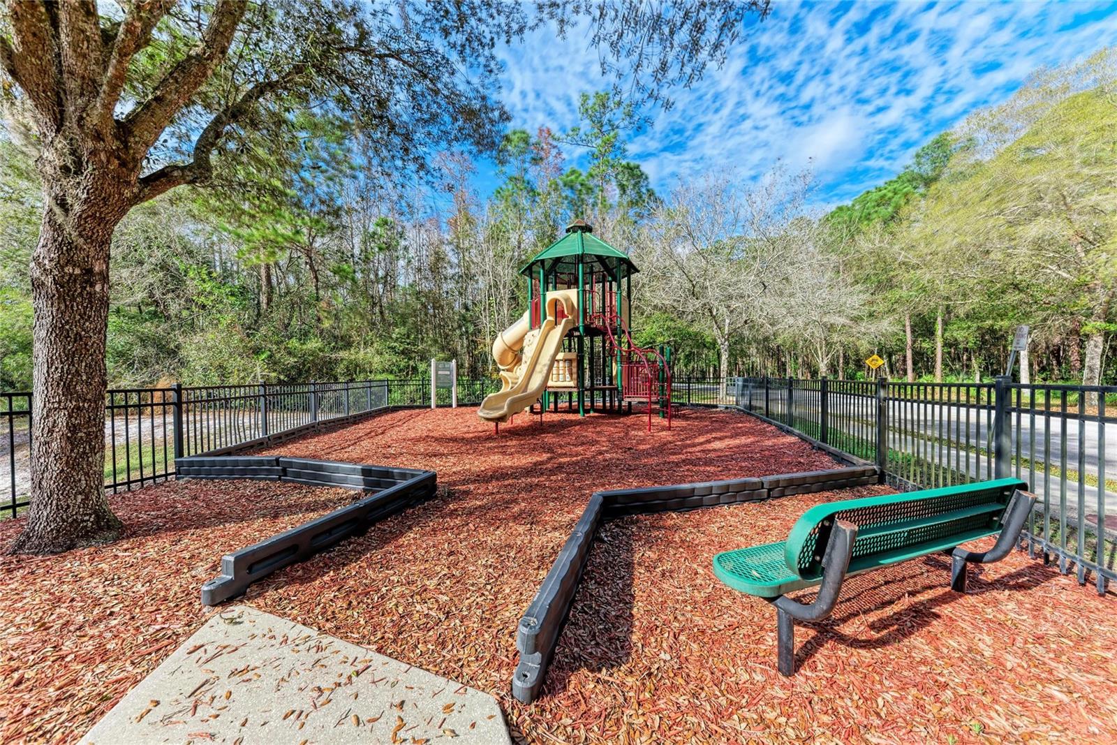 Image 57 of 58 For 12525 Shirebrook Court