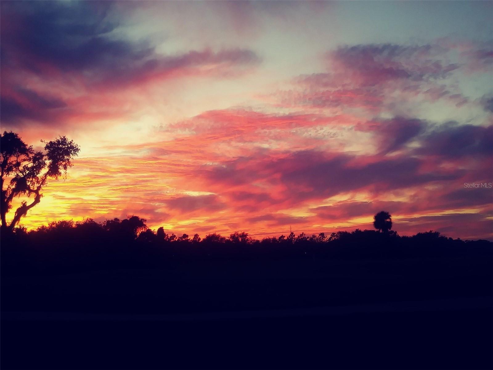 Image 38 of 38 For 774 Planters Manor Way