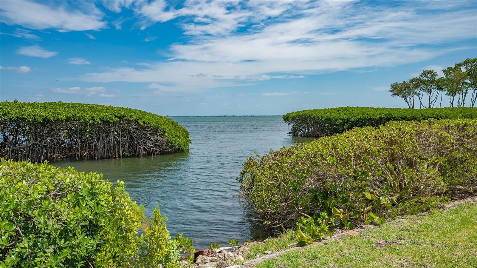 Image 60 of 80 For 2110 Harbourside Drive 558