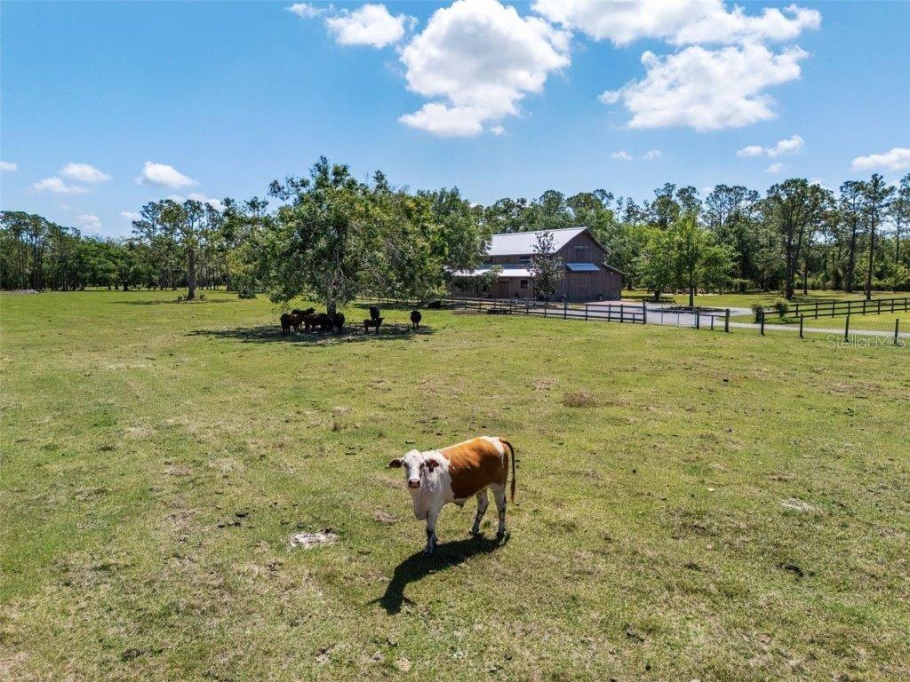 Image 77 of 88 For 12615 River Road