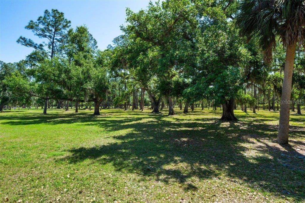 Image 78 of 88 For 12615 River Road