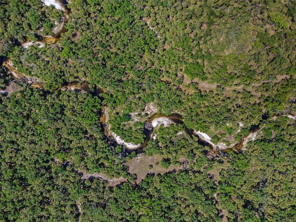 Image 82 of 88 For 12615 River Road