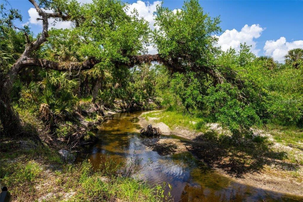 Image 83 of 88 For 12615 River Road