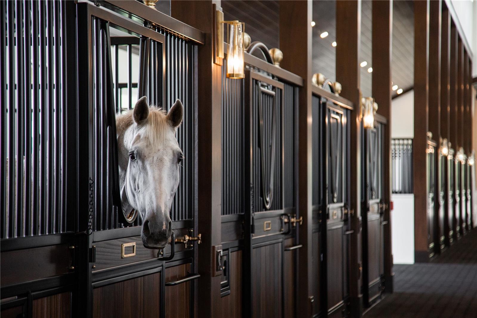 Image 10 of 20 For 13825 Bilsdale Court