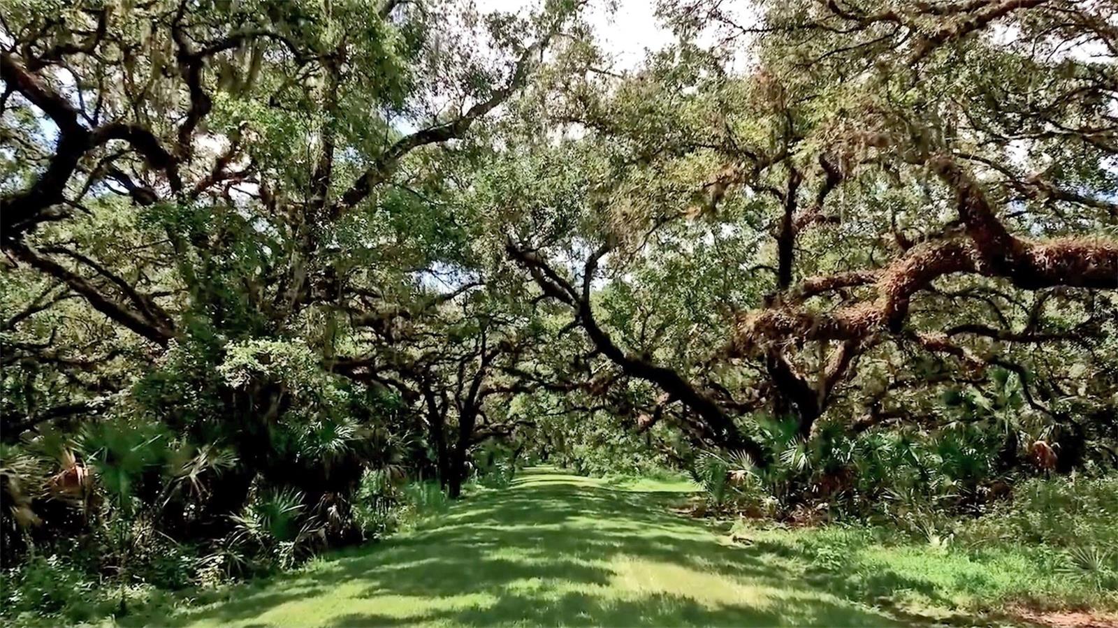 Image 14 of 20 For 13825 Bilsdale Court