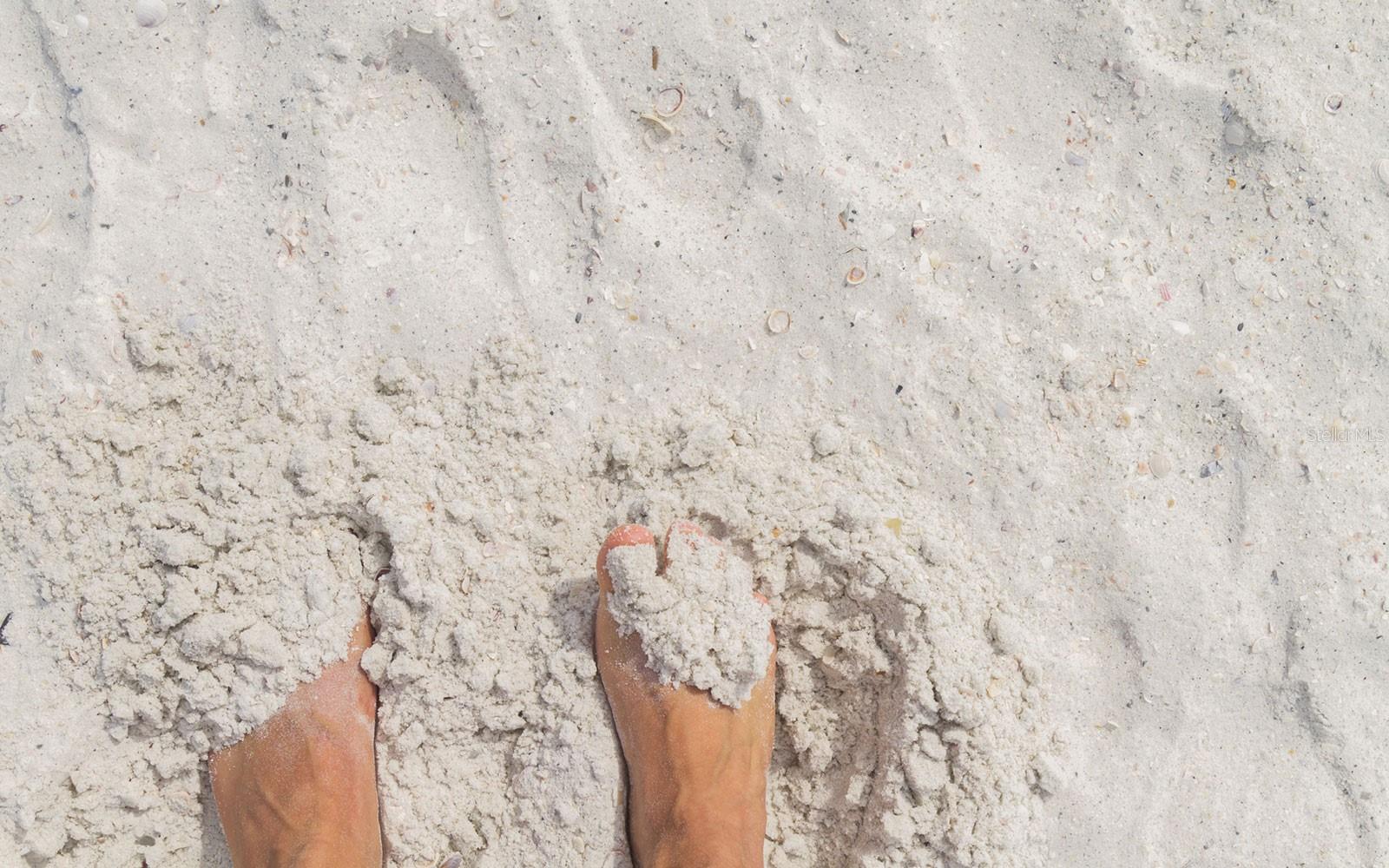 Image 19 of 20 For 13825 Bilsdale Court