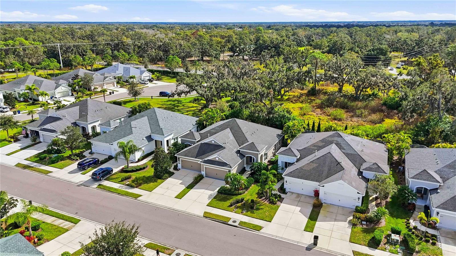 Image 33 of 37 For 4021 Wildgrass Place