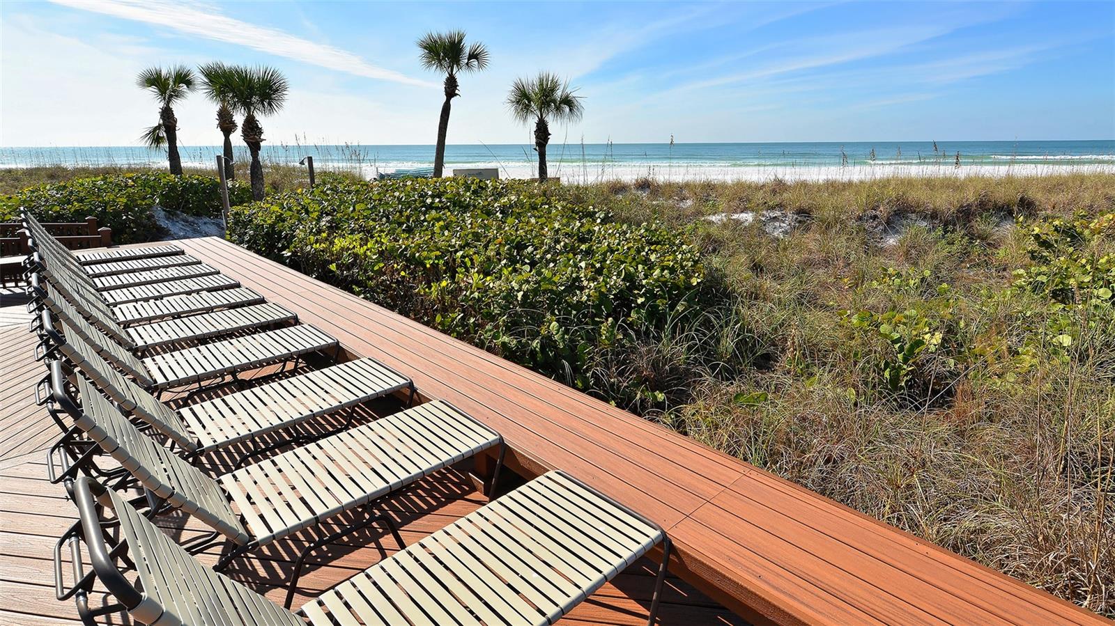 Image 43 of 62 For 6204 Midnight Pass Road 205