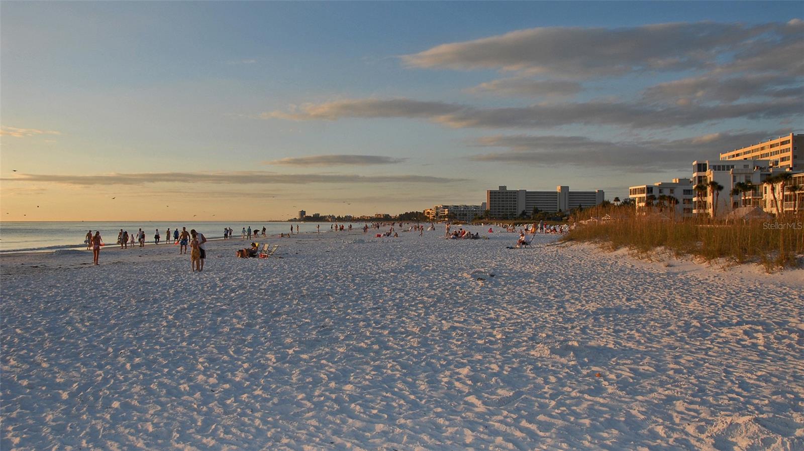 Image 48 of 62 For 6204 Midnight Pass Road 205