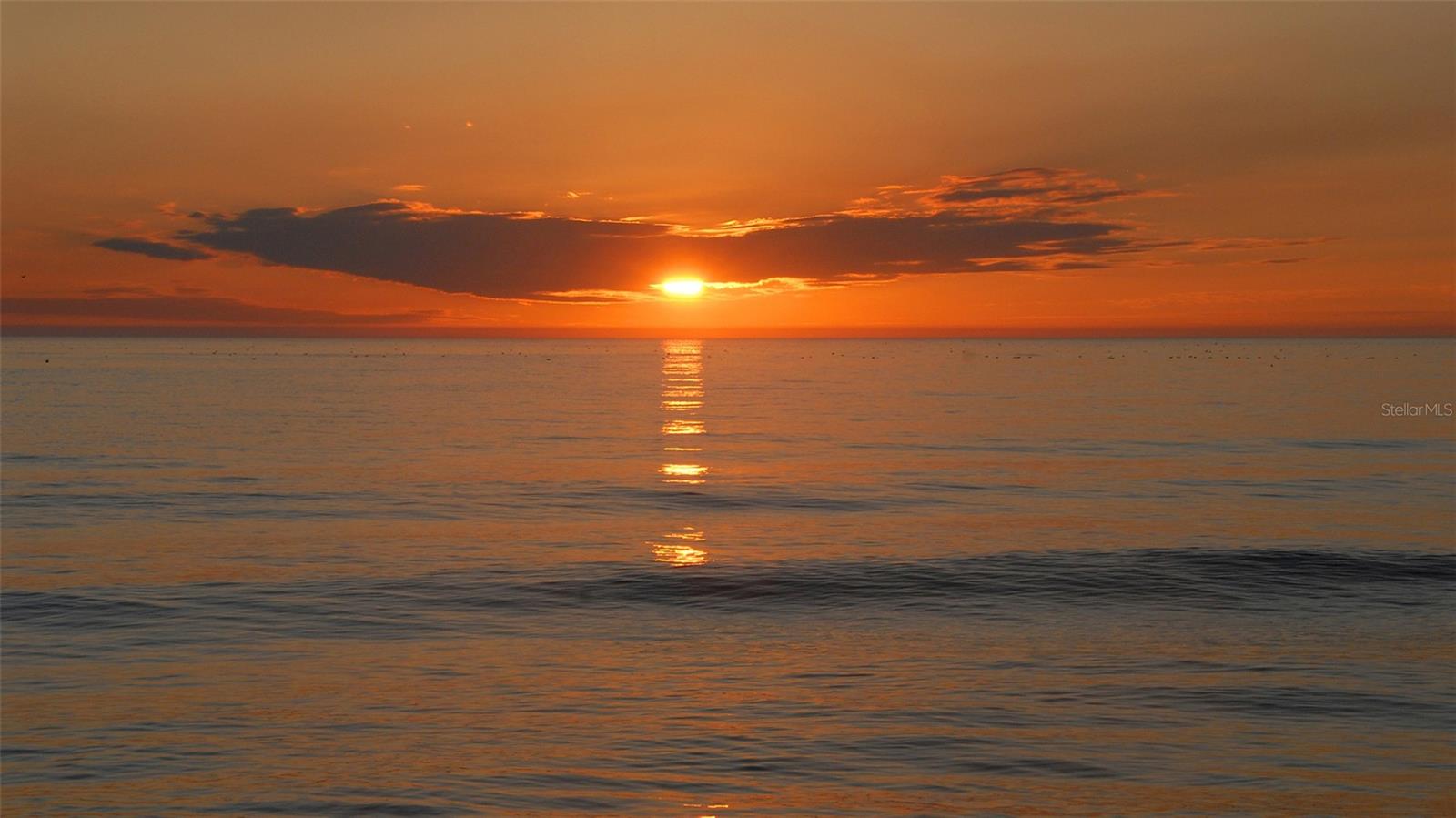 Image 62 of 62 For 6204 Midnight Pass Road 205