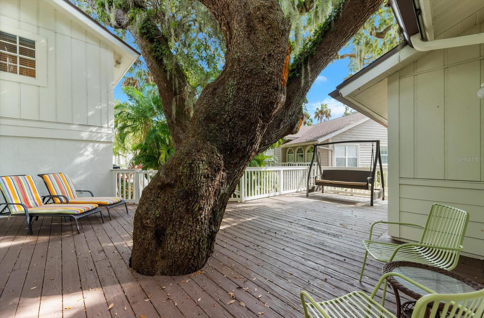 Image 35 of 56 For 4514 Trails Drive