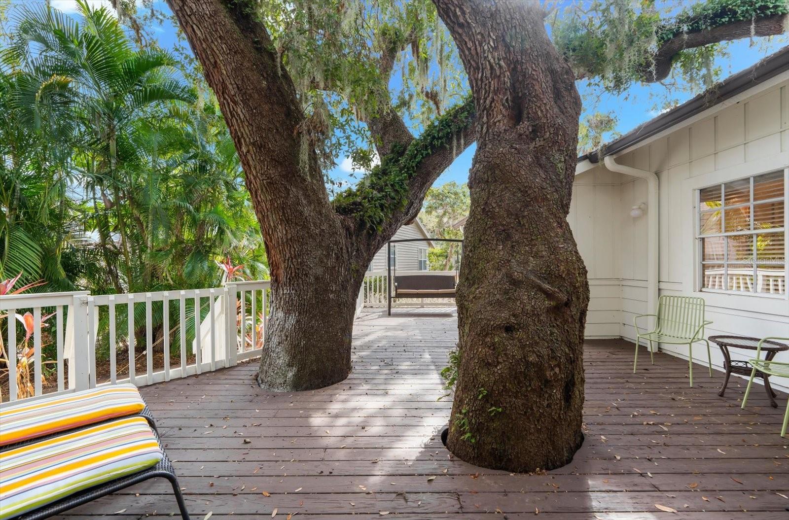 Image 36 of 56 For 4514 Trails Drive