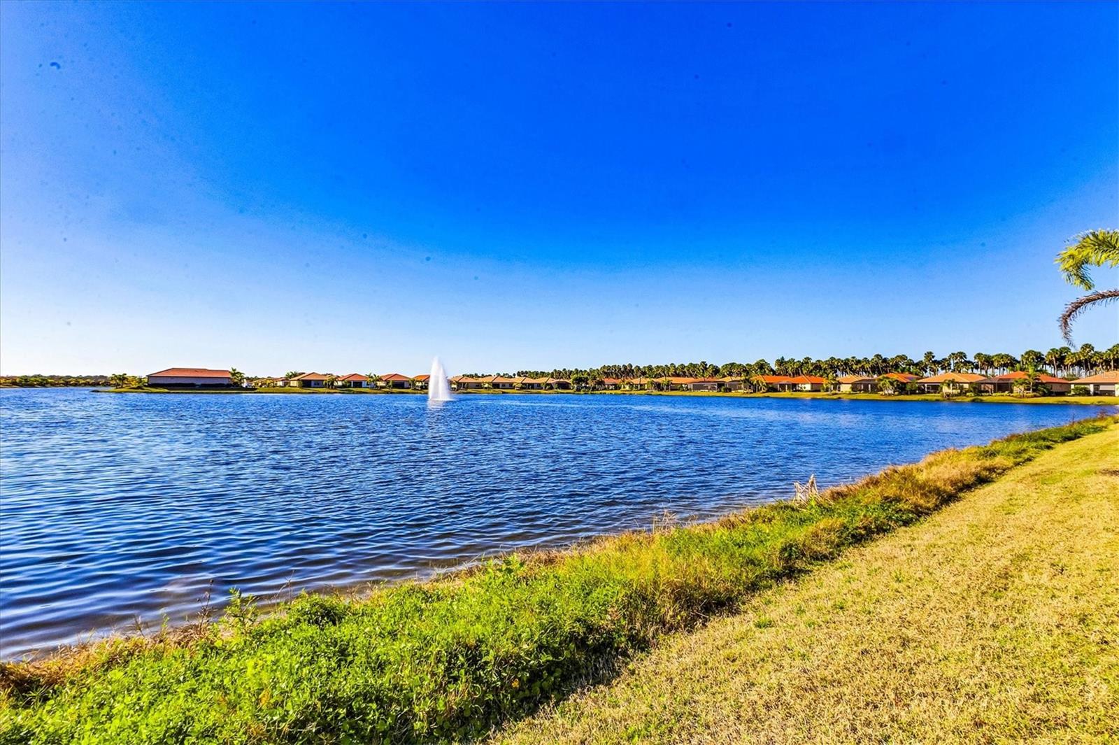 Image 40 of 70 For 141 Vinadio Boulevard