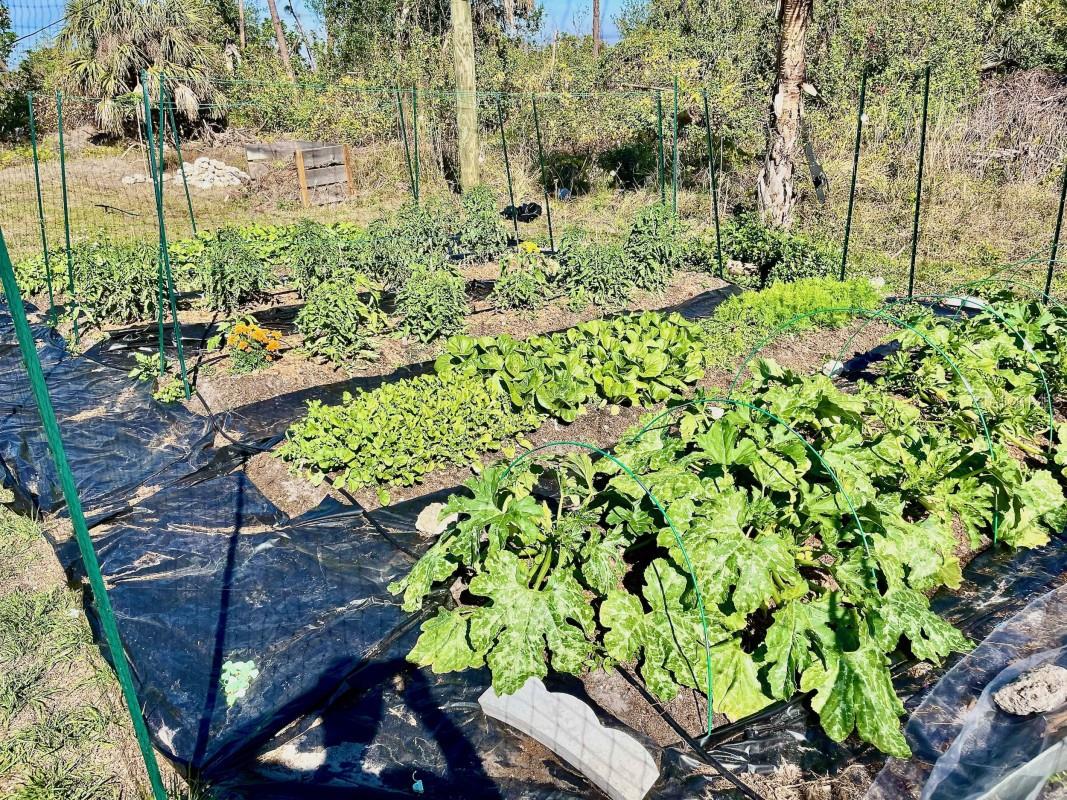 Image 10 of 12 For 7096 Ticonderoga Street