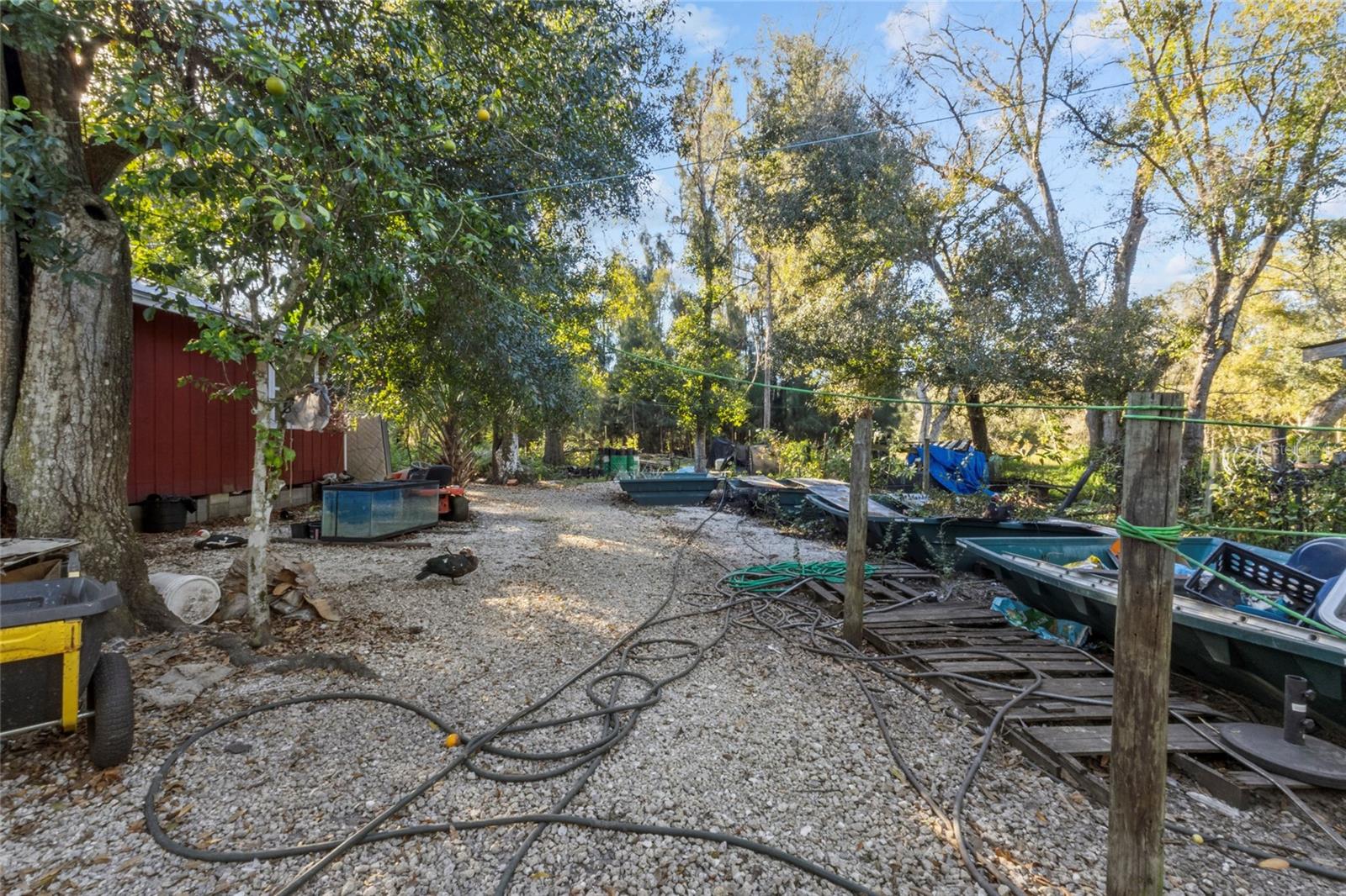 Image 11 of 30 For 1211 Eucalyptus Avenue