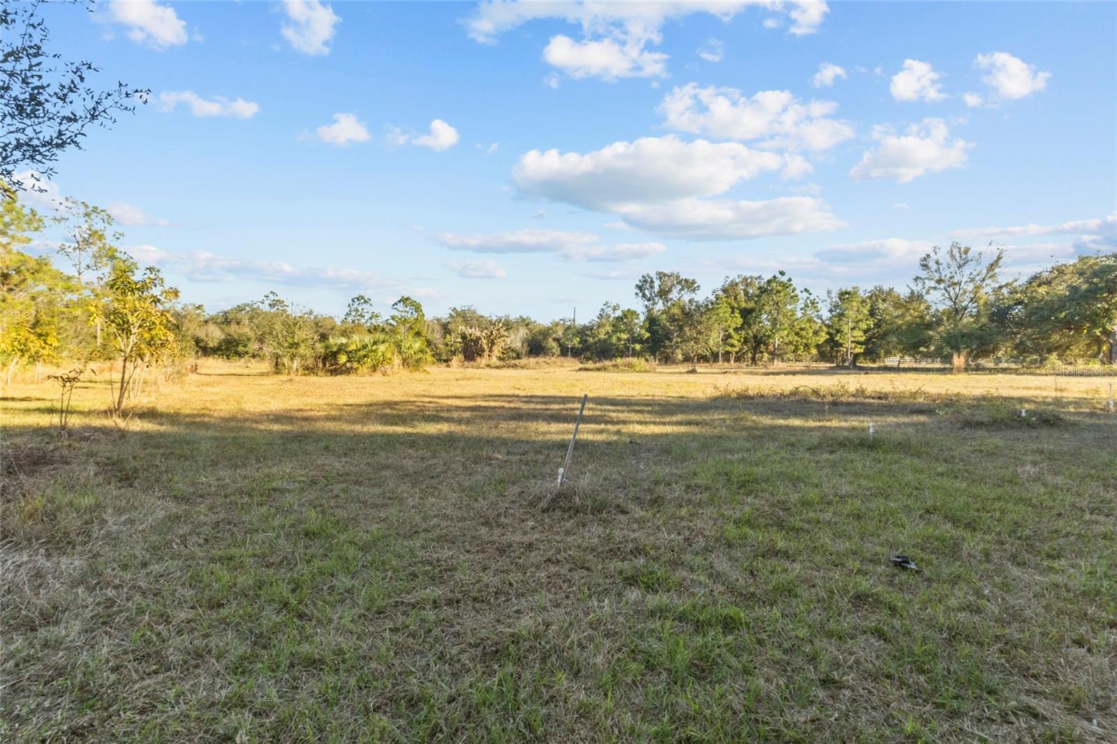 Image 18 of 30 For 1211 Eucalyptus Avenue