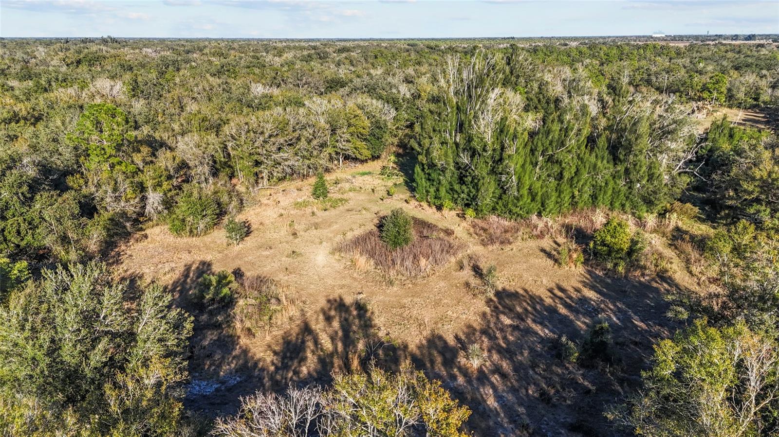 Image 24 of 30 For 1211 Eucalyptus Avenue