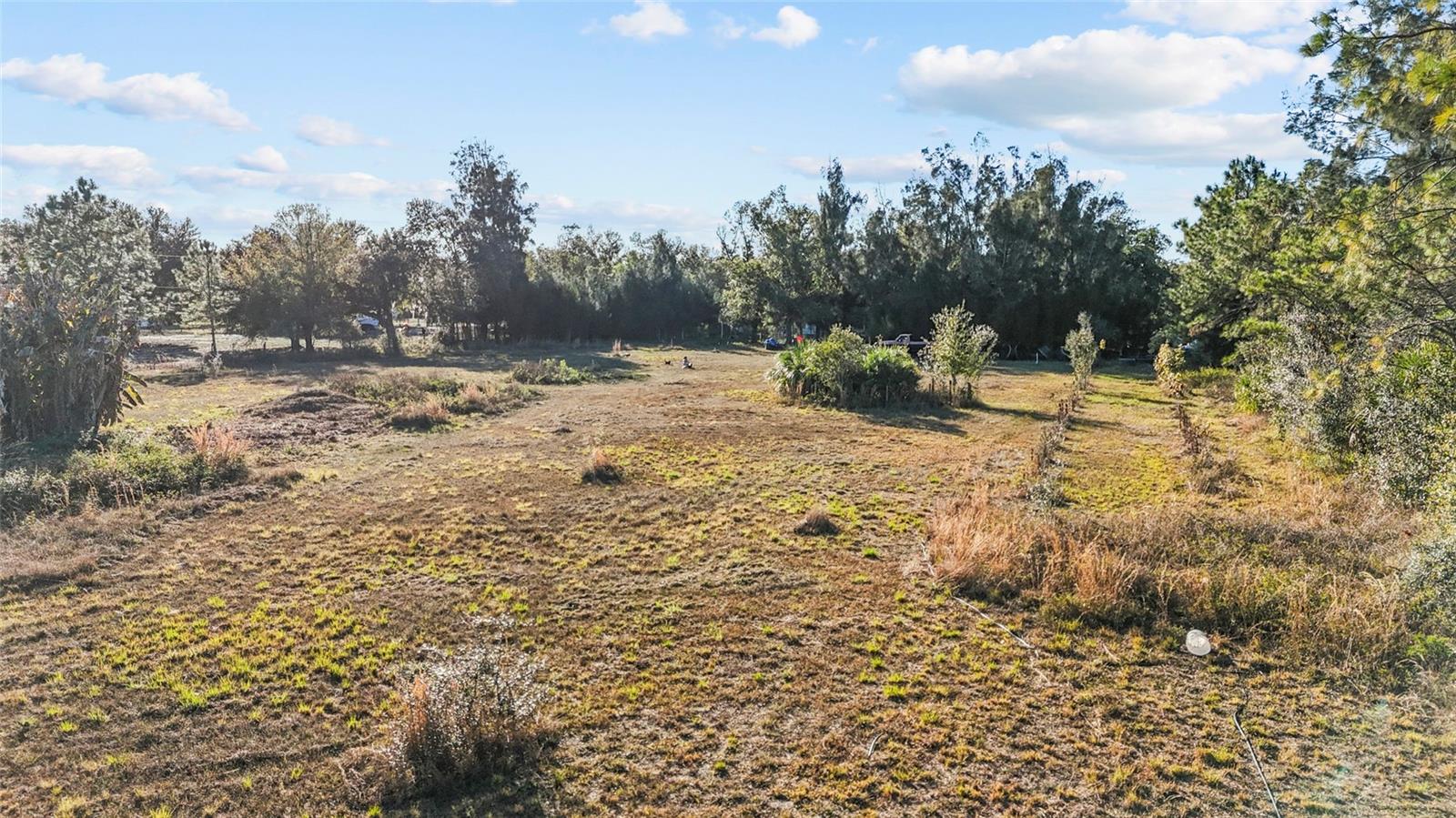 Image 26 of 30 For 1211 Eucalyptus Avenue