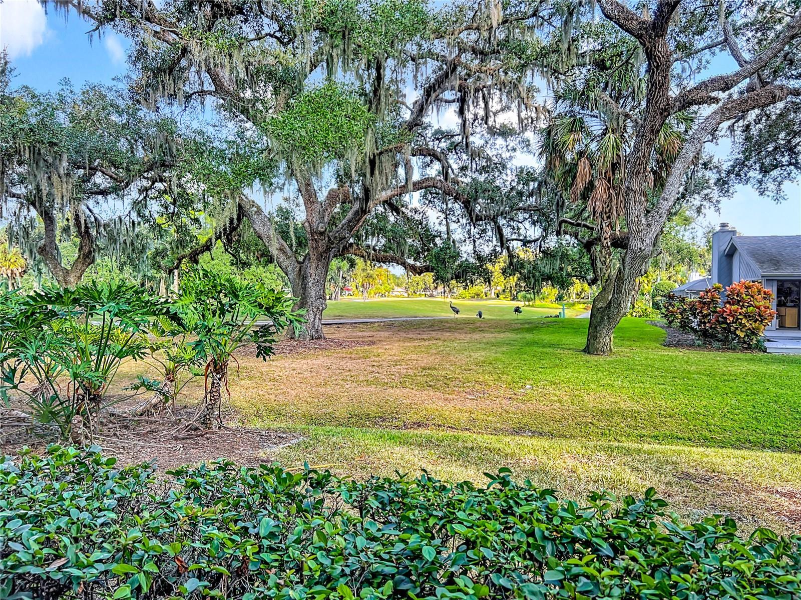 Image 39 of 52 For 4683 Oak Hollow Drive 3