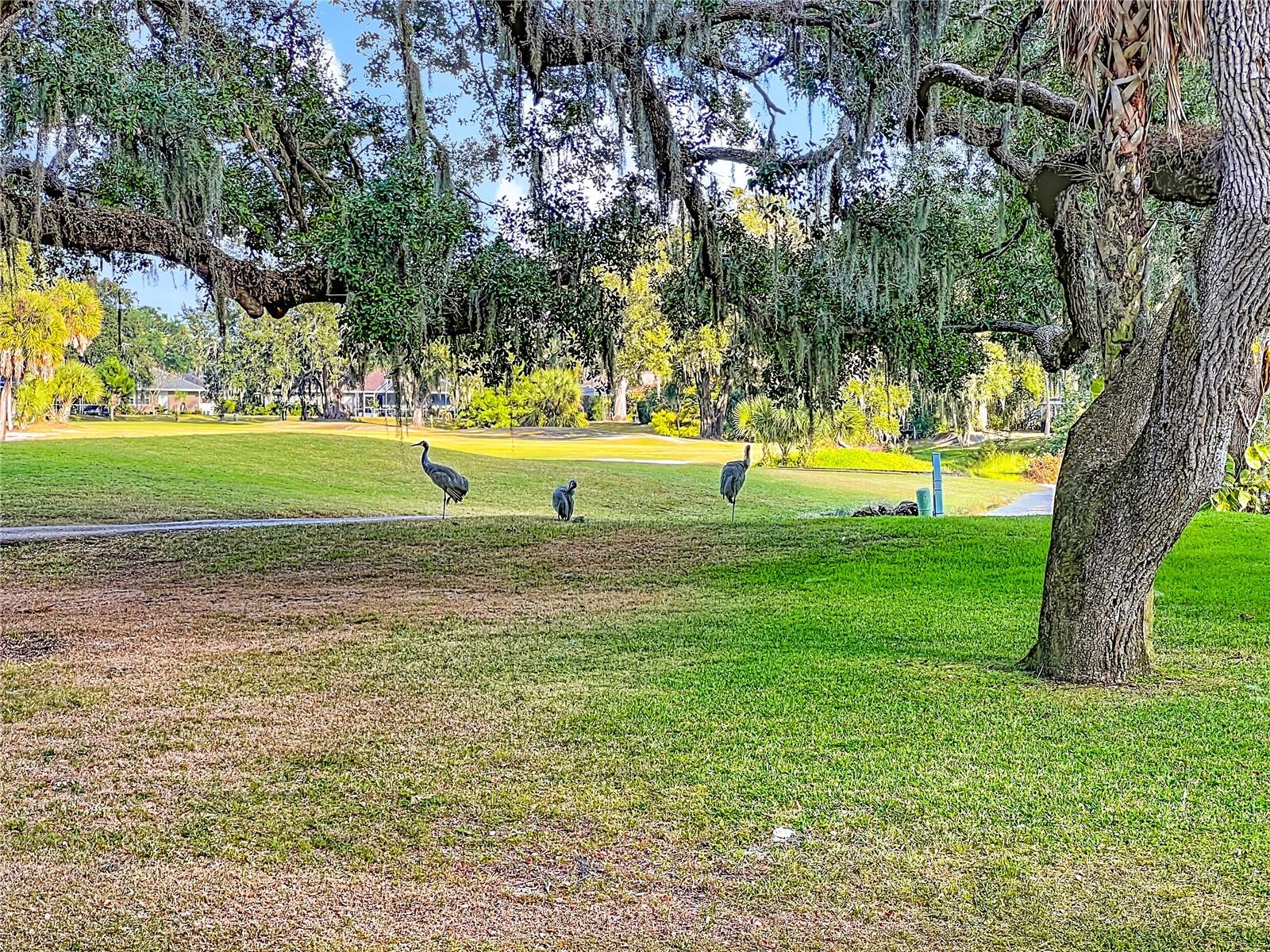 Image 43 of 52 For 4683 Oak Hollow Drive 3