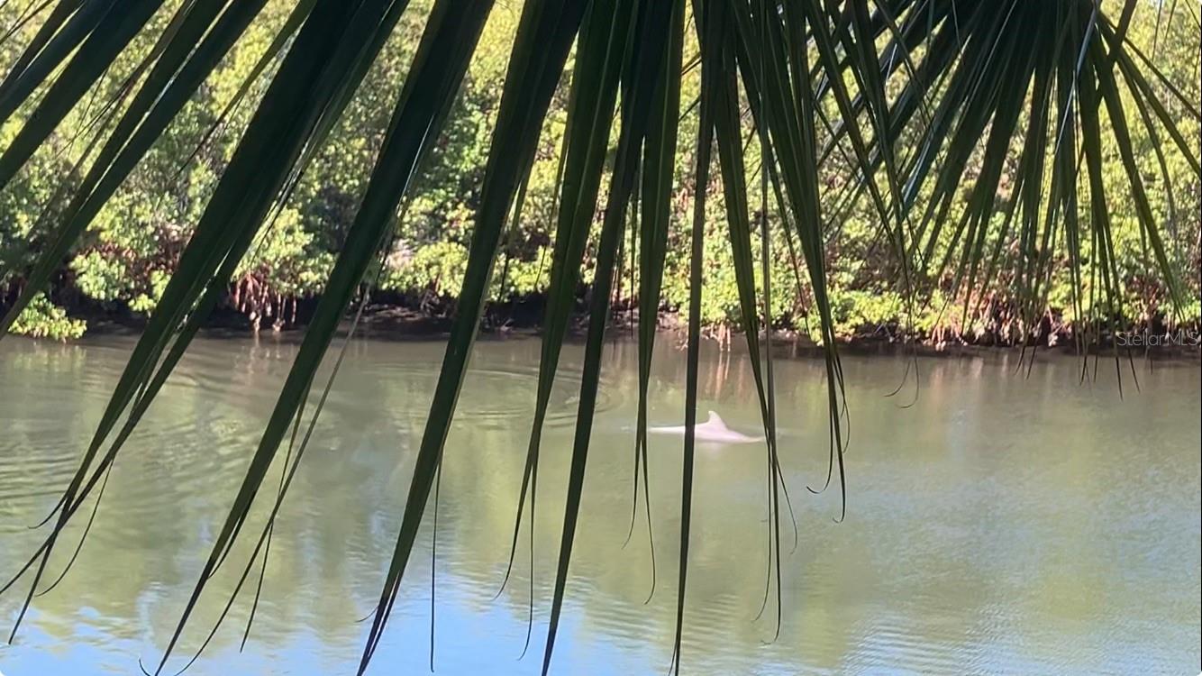 Image 20 of 61 For 464 Bahia Beach Boulevard