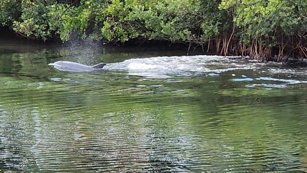 Image 21 of 61 For 464 Bahia Beach Boulevard