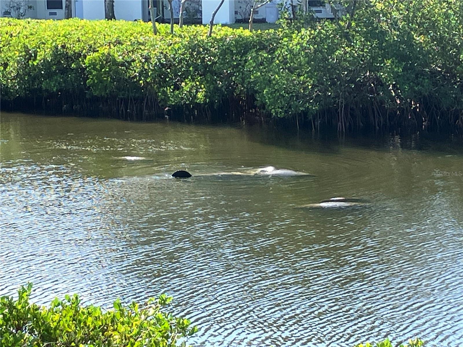 Image 22 of 61 For 464 Bahia Beach Boulevard