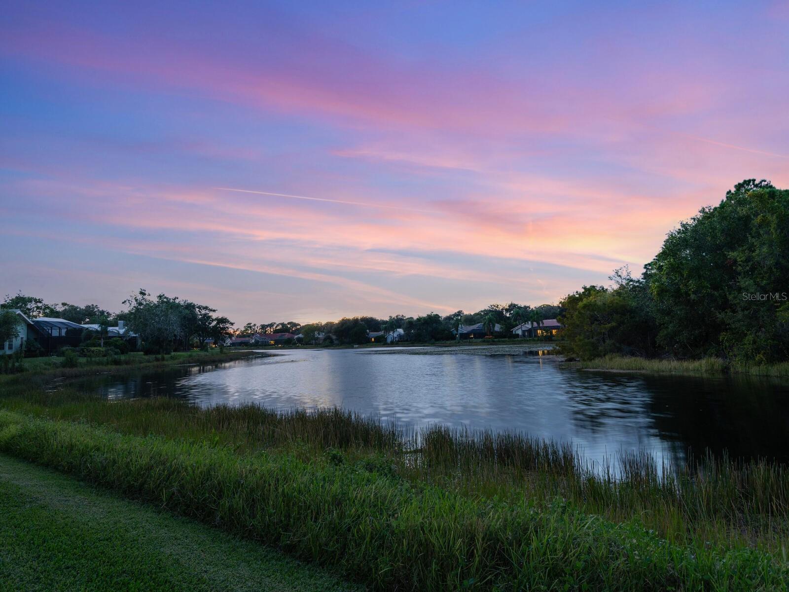 Image 52 of 54 For 8687 Woodbriar Drive