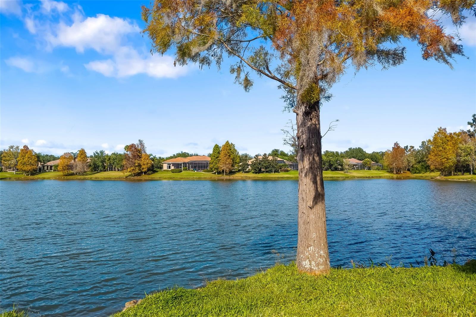 Image 10 of 90 For 11528 Savannah Lakes Drive