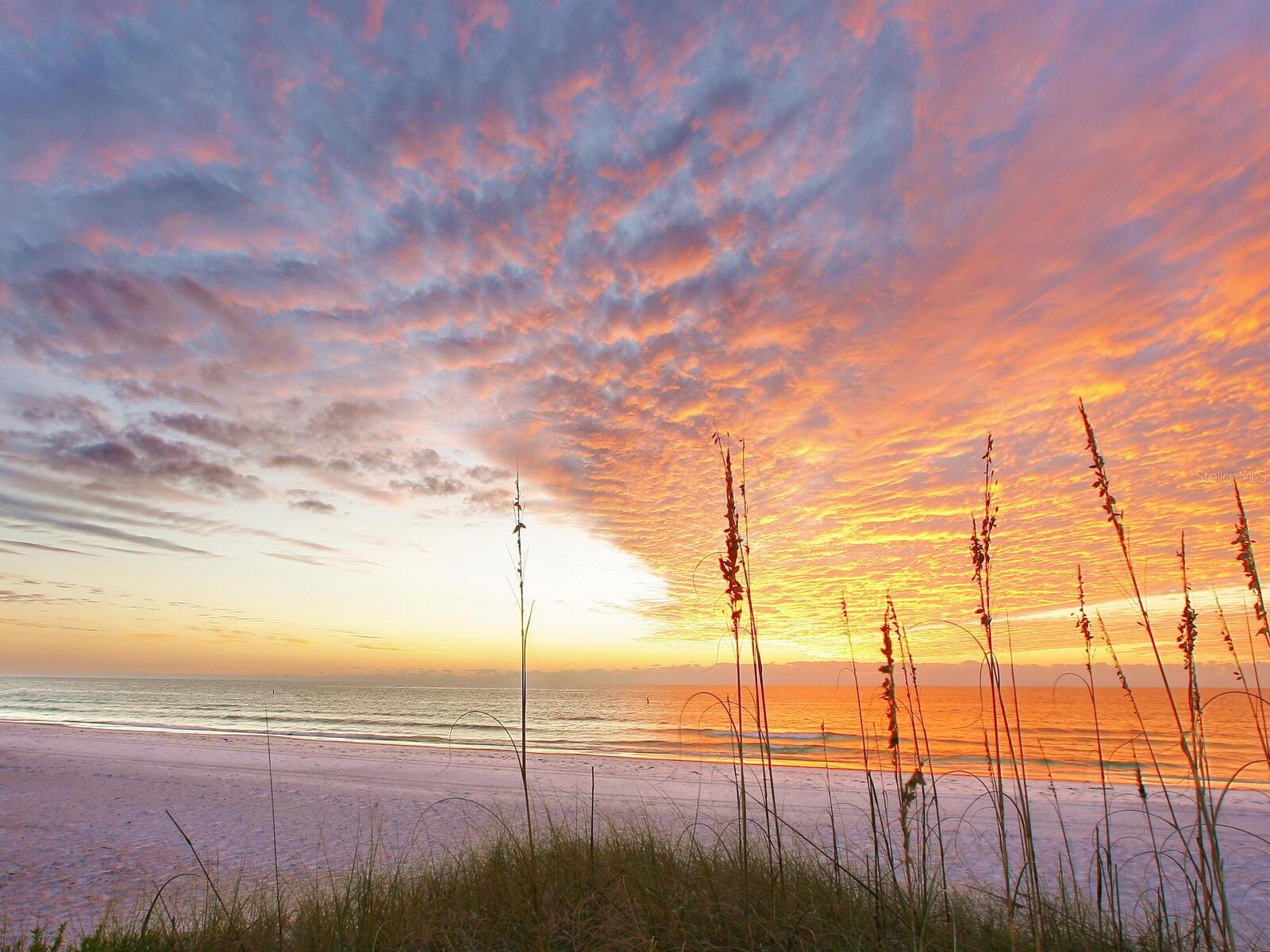 Image 61 of 62 For 5790 Midnight Pass Road 510