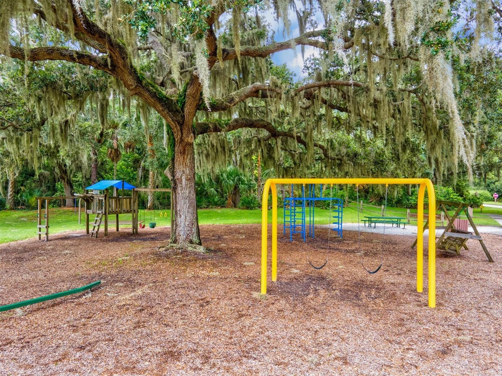 Image 38 of 50 For 5354 Myrtle Wood  50